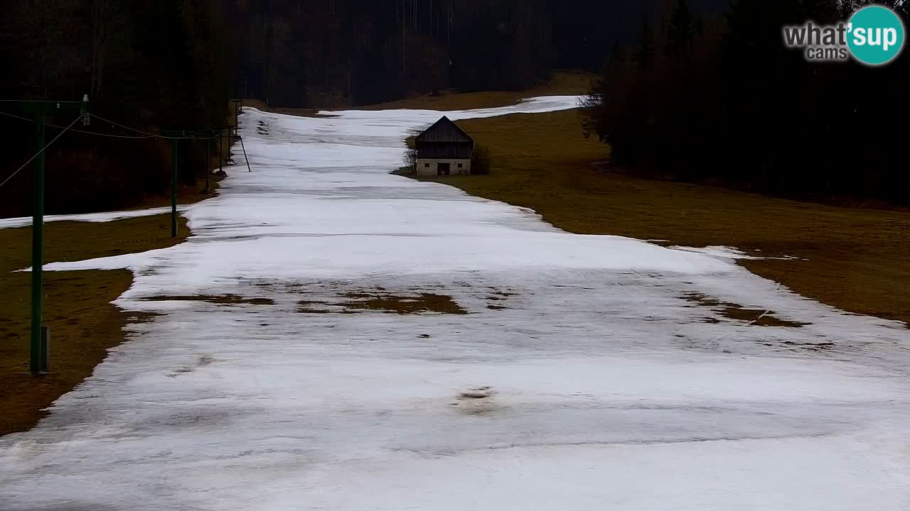 RTC Kranjska Gora | Velika Dolina