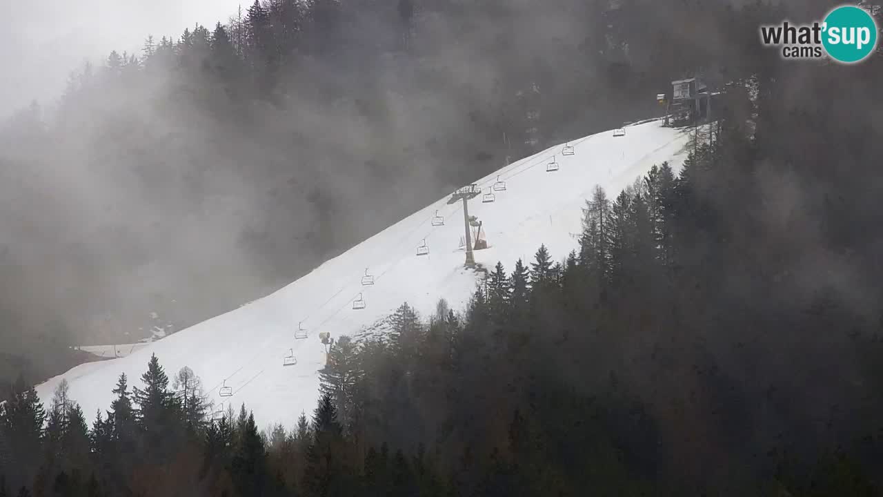 Ski Kranjska Gora | Velika Dolina