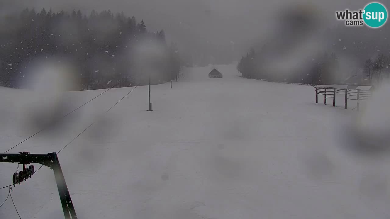 Skigebiet Kranjska Gora | Velika Dolina