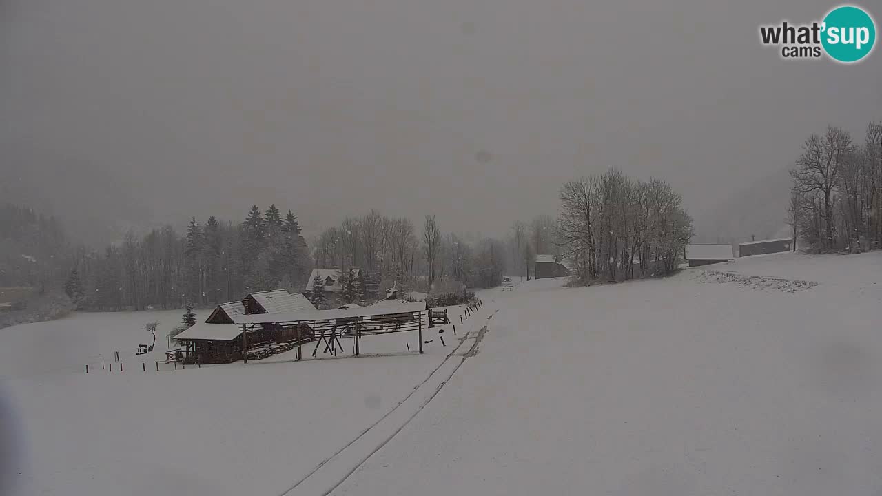 Ski Kranjska Gora | Velika Dolina