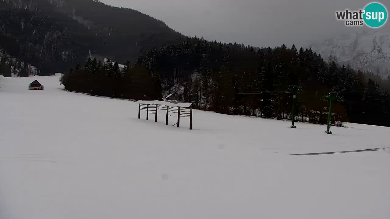 Estación de esquí Kranjska Gora | Velika Dolina