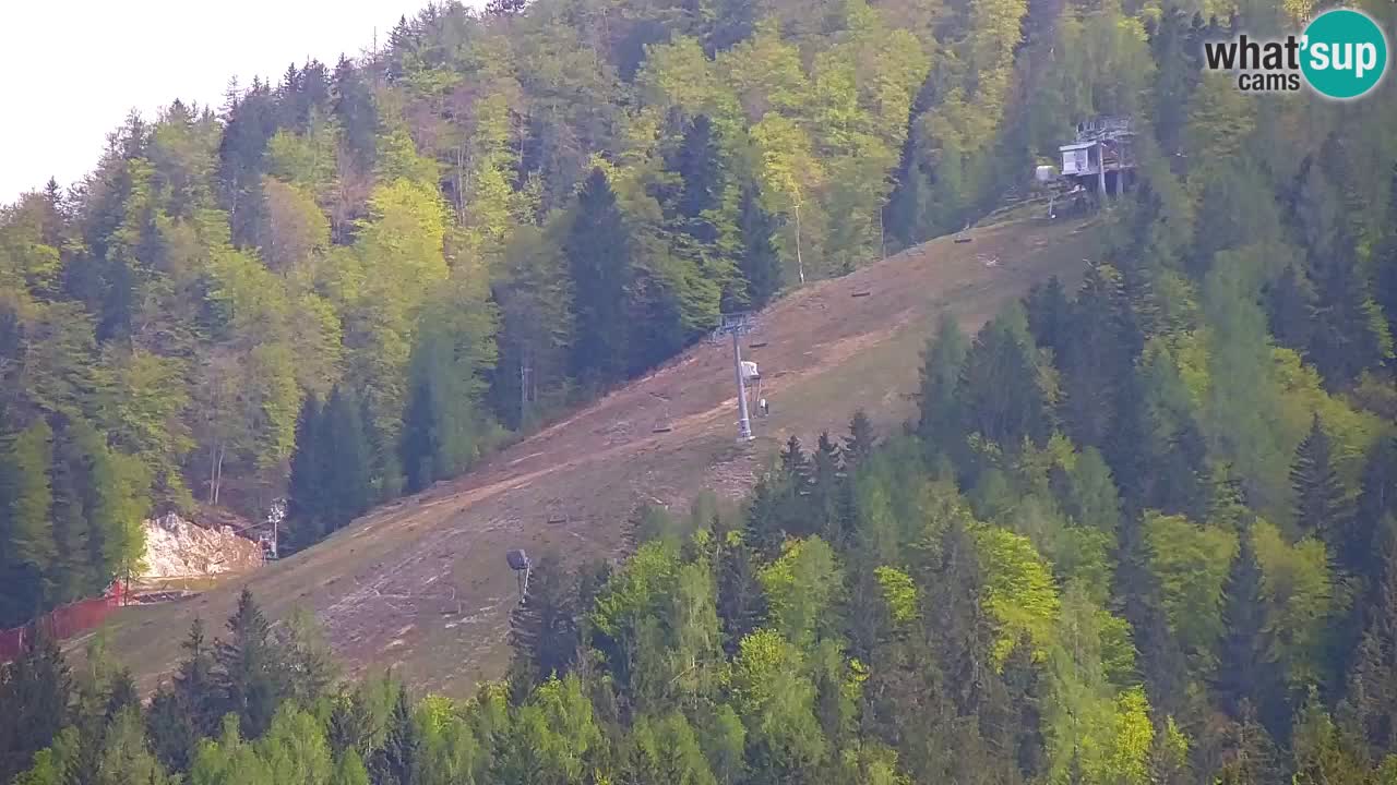 Ski Kranjska Gora | Velika Dolina