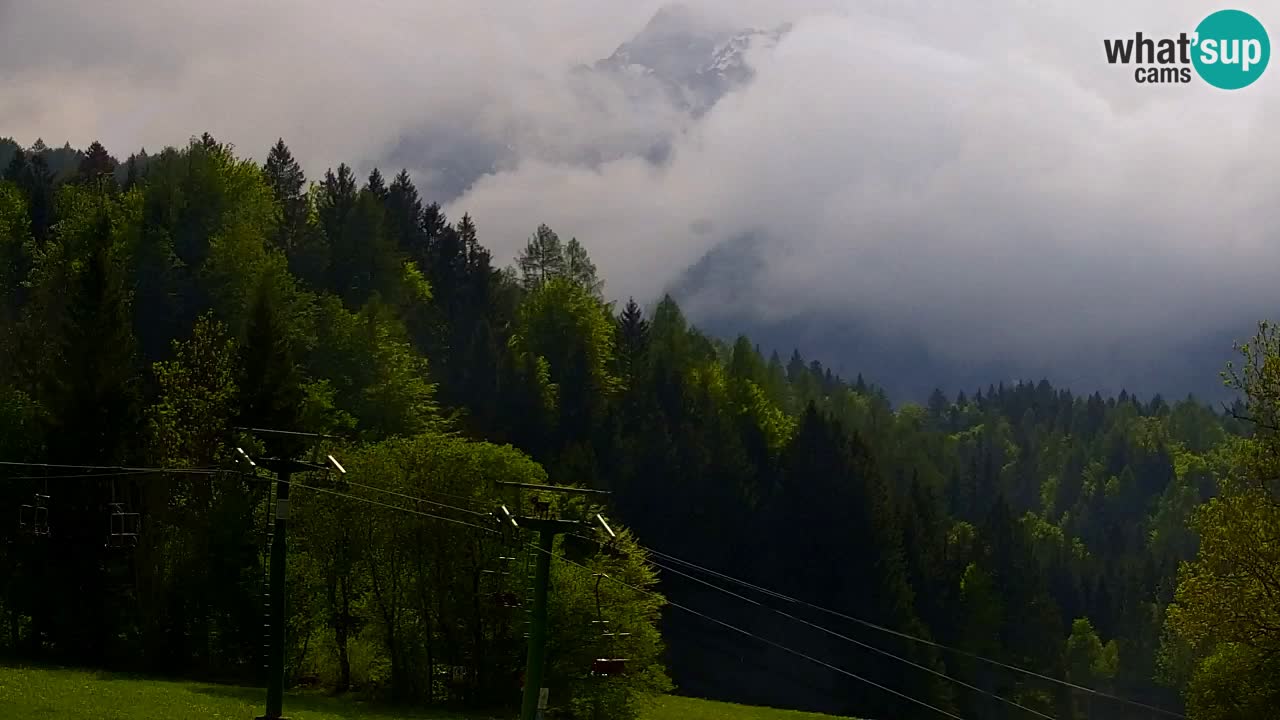 Skigebiet Kranjska Gora | Velika Dolina