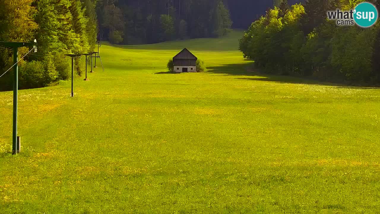 Ski Kranjska Gora | Velika Dolina