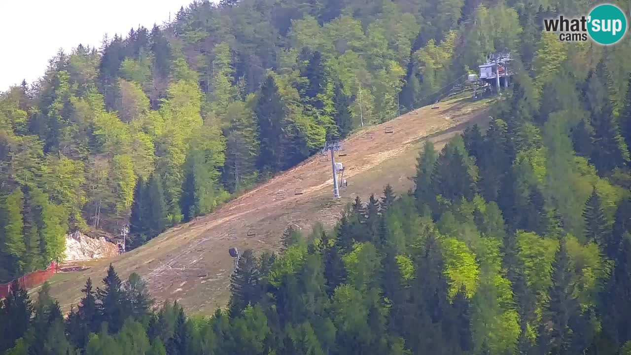 Ski Kranjska Gora | Velika Dolina