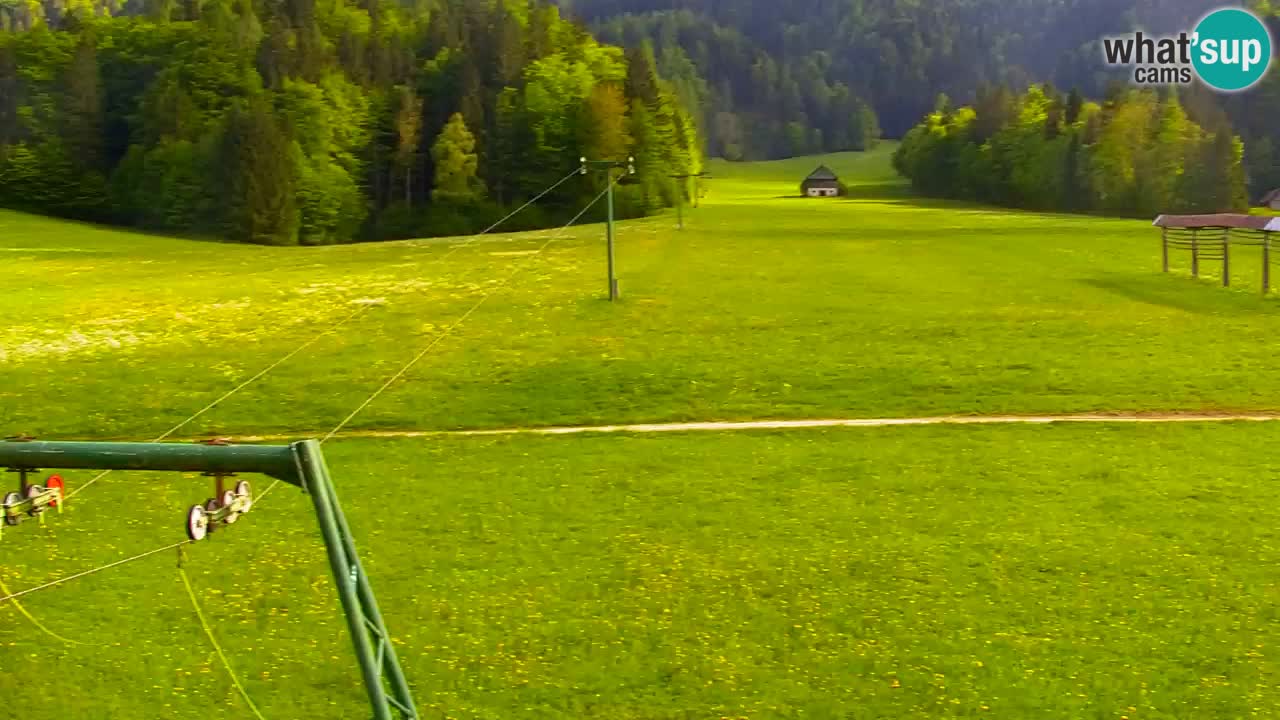 Ski Kranjska Gora | Velika Dolina