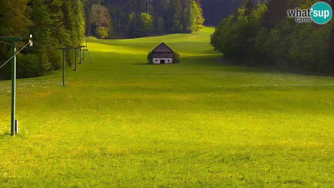 Skijanje Kranjska Gora | Velika Dolina