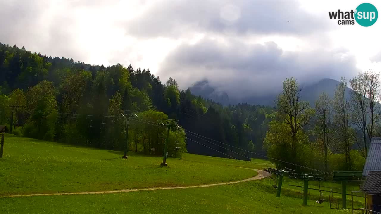 Estación de esquí Kranjska Gora | Velika Dolina