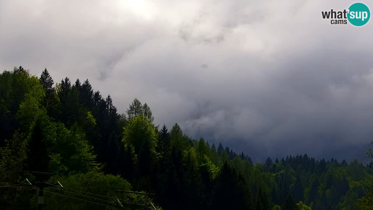 Estación de esquí Kranjska Gora | Velika Dolina