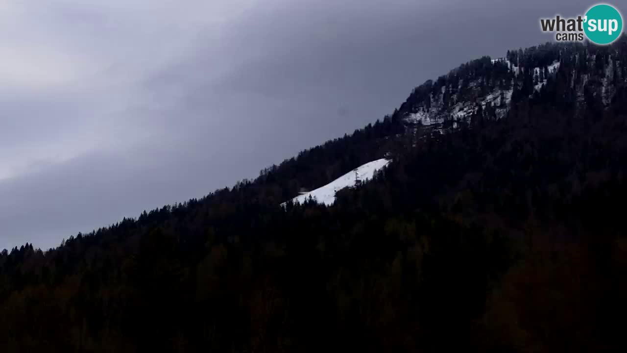 Estación de esquí Kranjska Gora | Velika Dolina