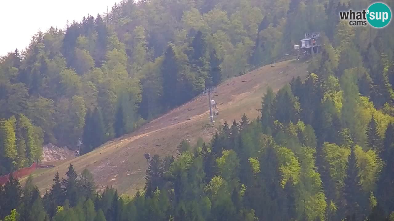 RTC Kranjska Gora | Velika Dolina