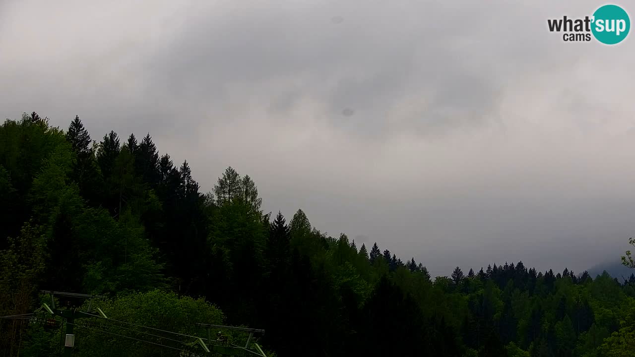 Ski Kranjska Gora | Velika Dolina