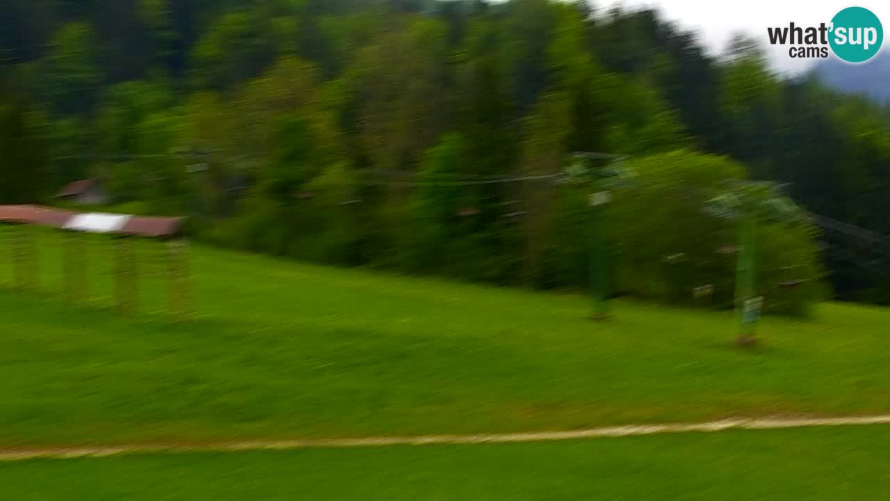 Skigebiet Kranjska Gora | Velika Dolina