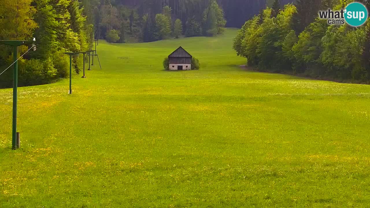 Ski Kranjska Gora | Velika Dolina