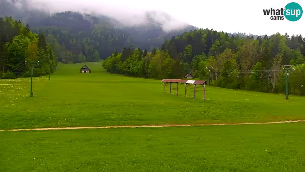 Ski Kranjska Gora | Velika Dolina