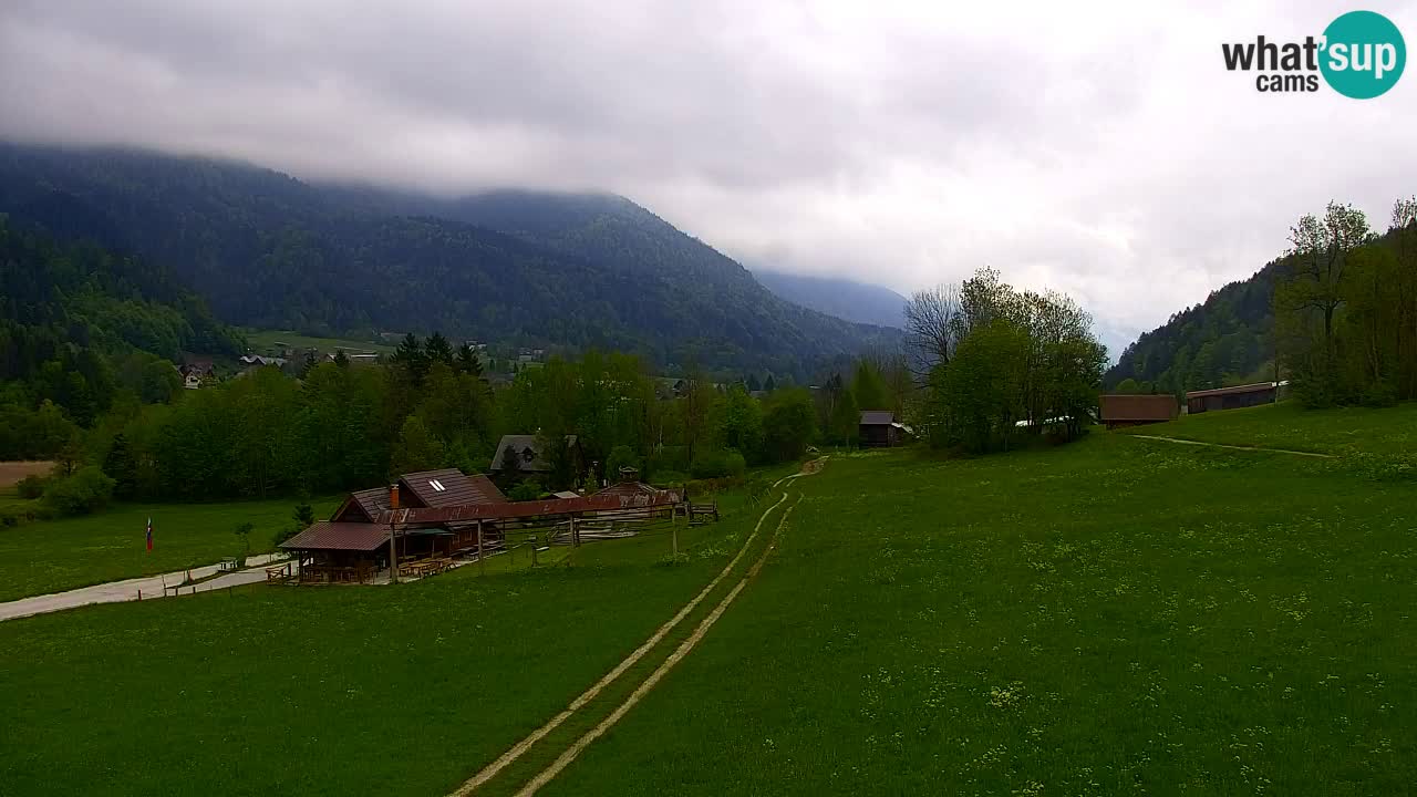 Ski Kranjska Gora | Velika Dolina
