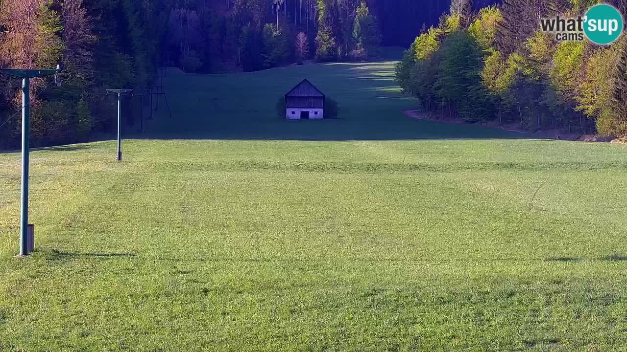 Ski Kranjska Gora | Velika Dolina