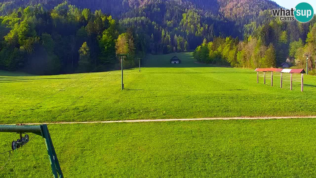 Skigebiet Kranjska Gora | Velika Dolina