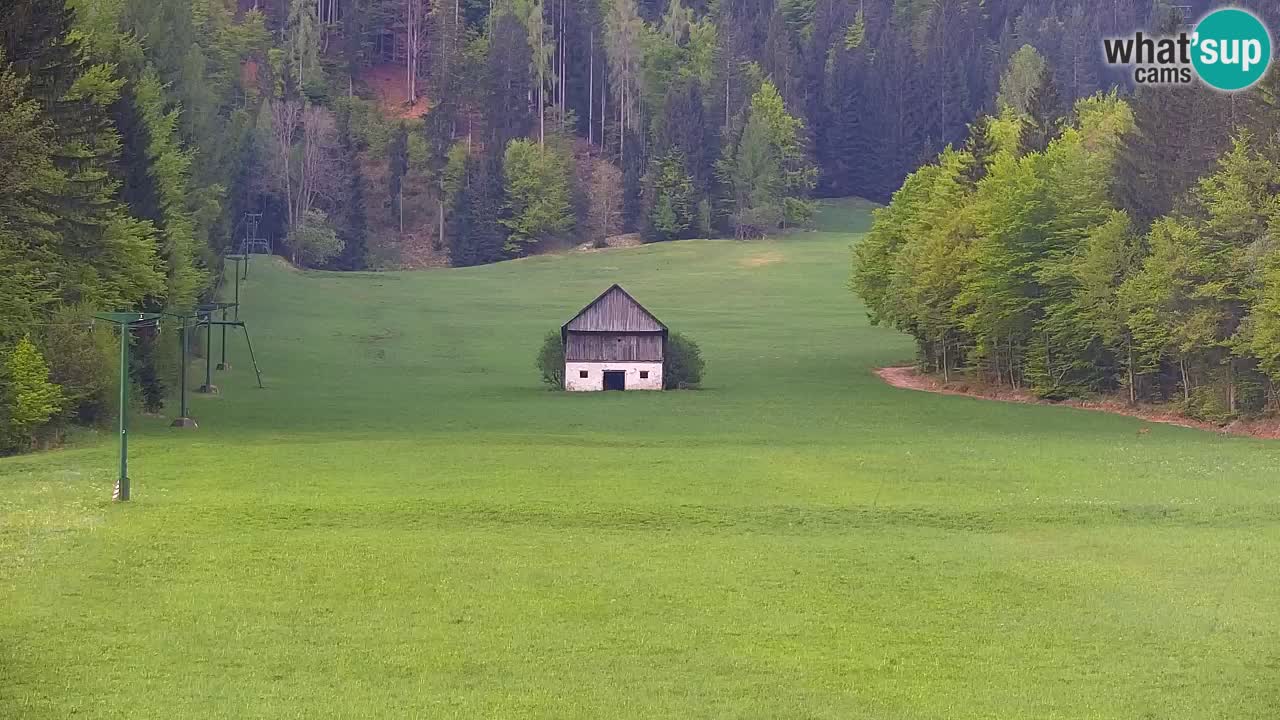 Ski Kranjska Gora | Velika Dolina