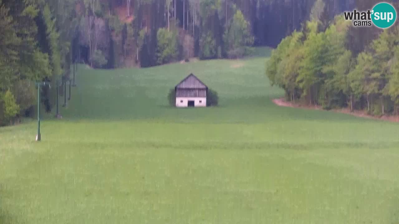Ski Kranjska Gora | Velika Dolina