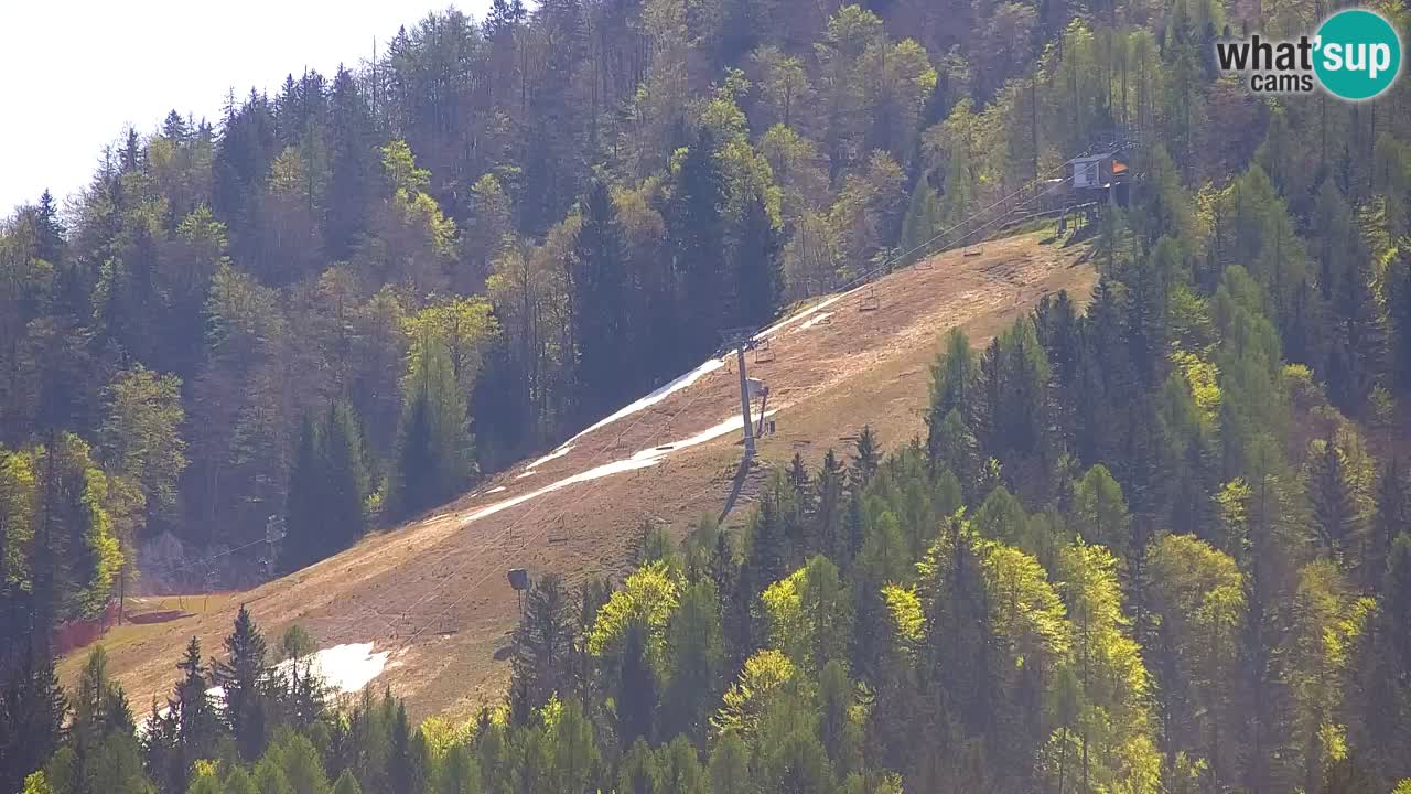 Skijanje Kranjska Gora | Velika Dolina