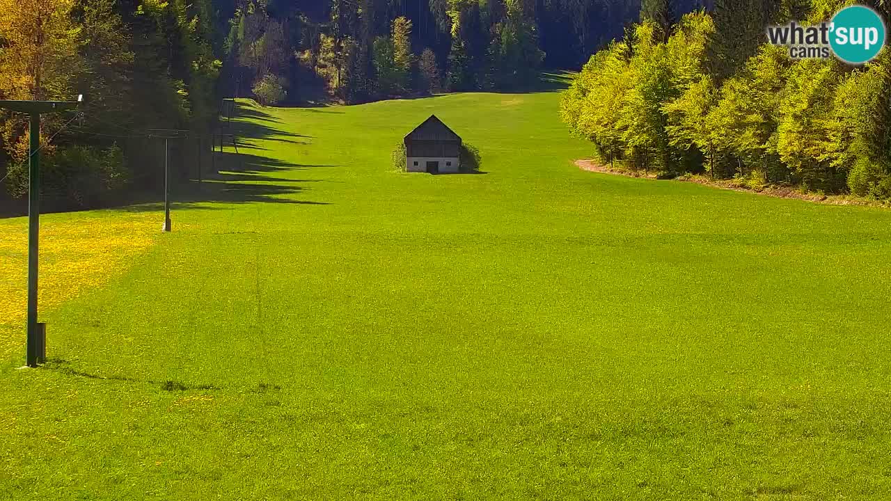 Skigebiet Kranjska Gora | Velika Dolina