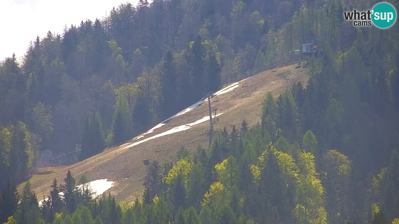 Ski Kranjska Gora | Velika Dolina