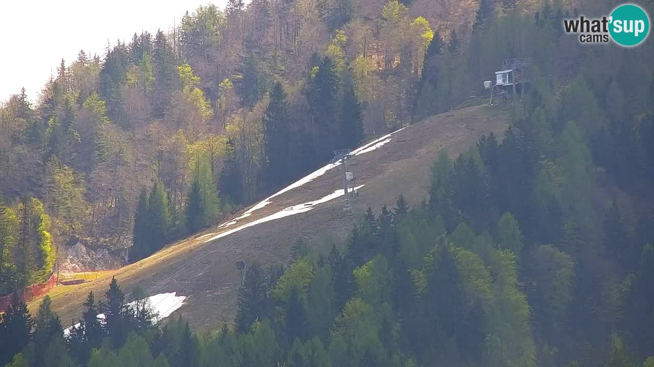 Ski Kranjska Gora | Velika Dolina