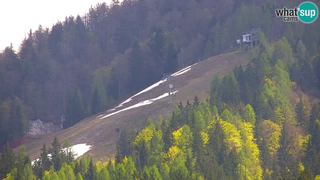 RTC Kranjska Gora | Velika Dolina