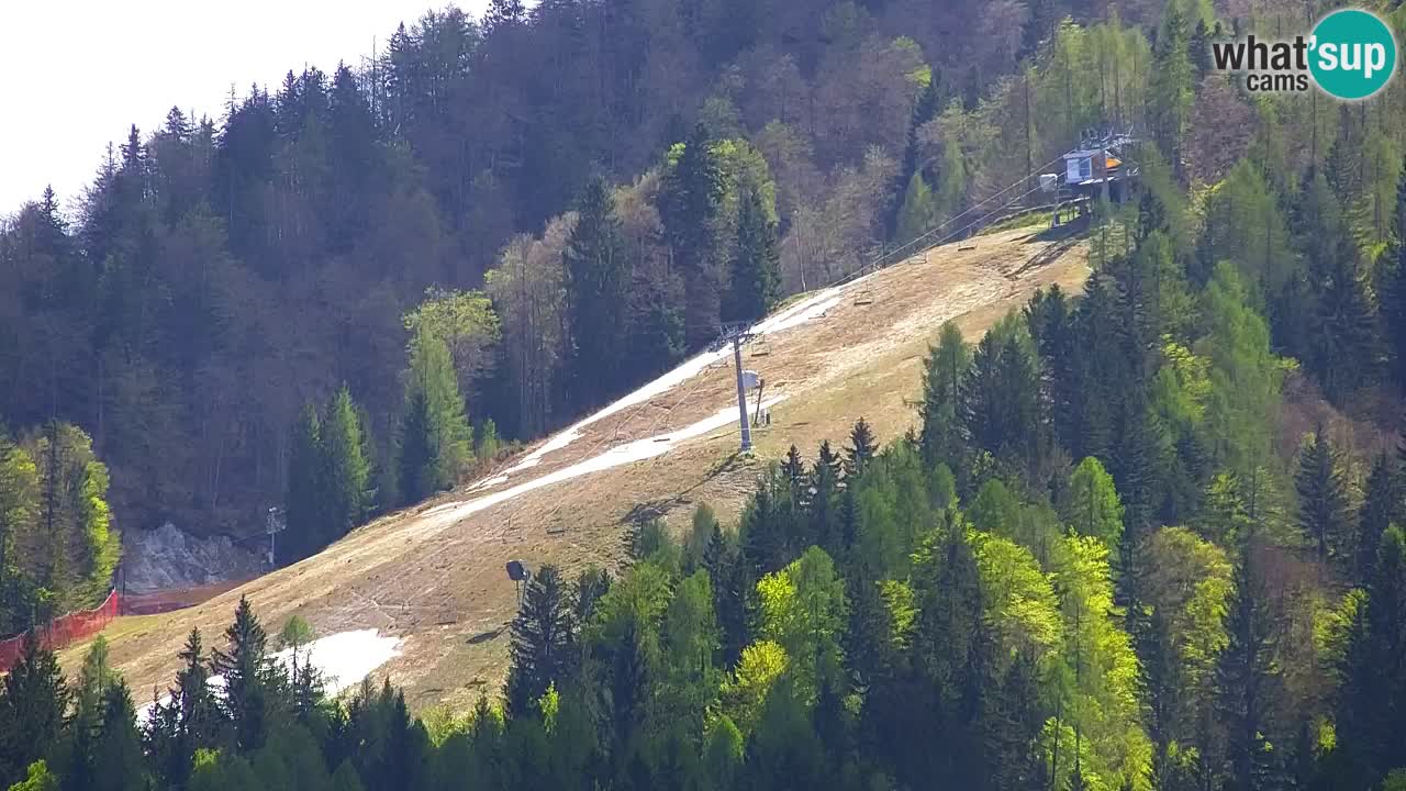 Skijanje Kranjska Gora | Velika Dolina