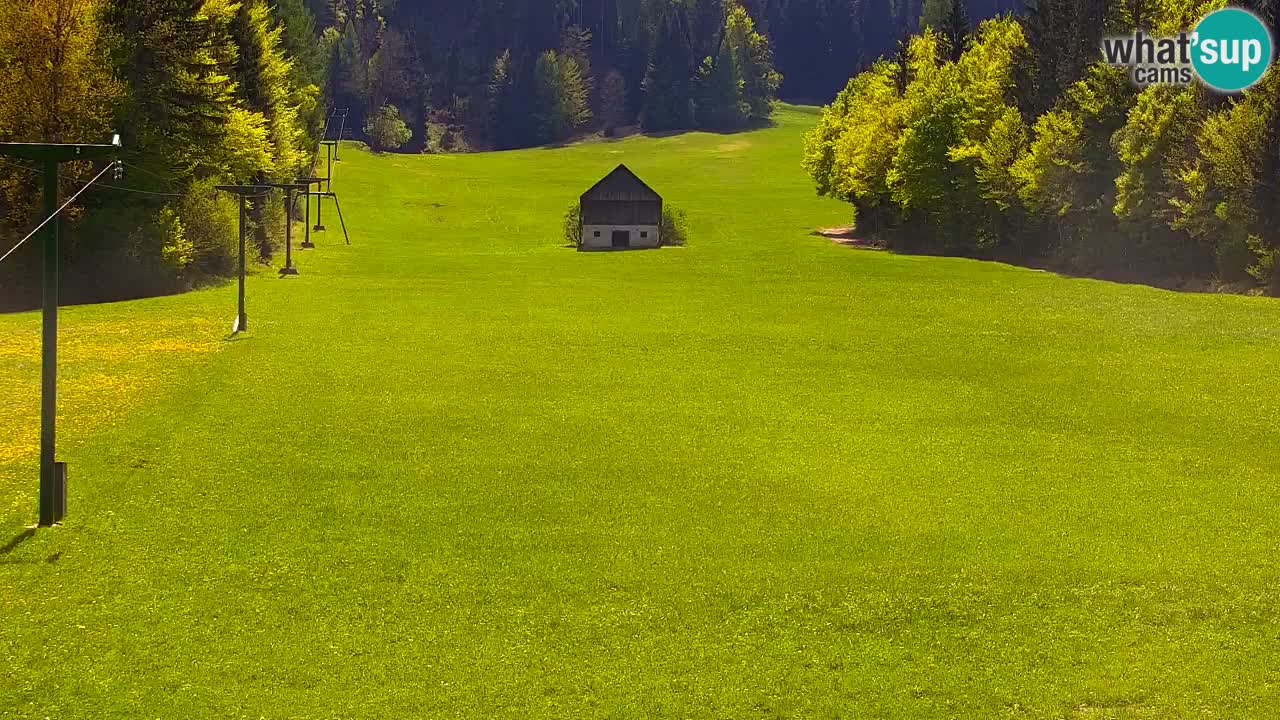 Ski Kranjska Gora | Velika Dolina