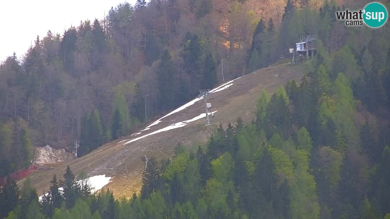 Skigebiet Kranjska Gora | Velika Dolina