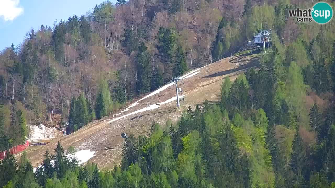Skigebiet Kranjska Gora | Velika Dolina