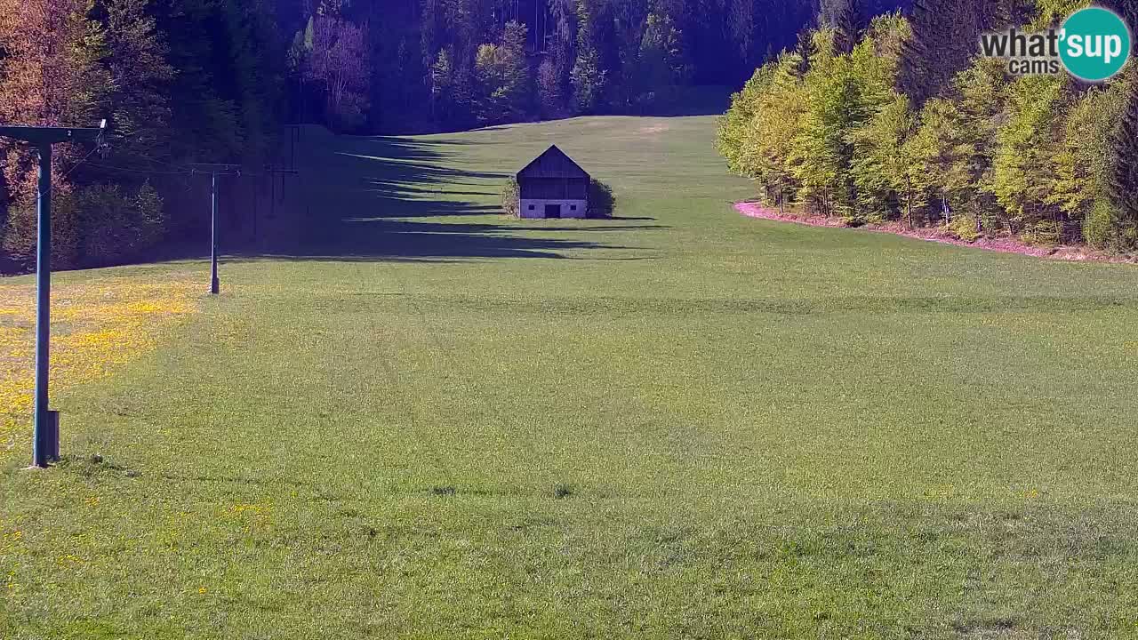 Estación de esquí Kranjska Gora | Velika Dolina