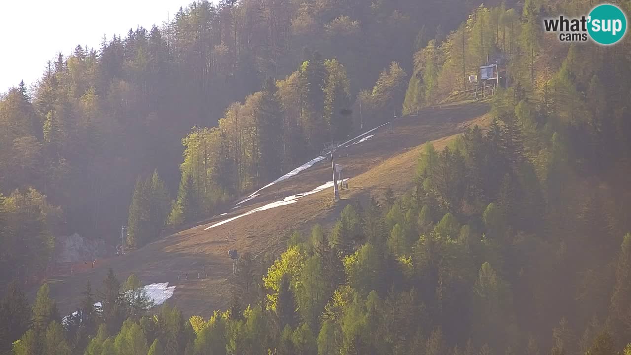 Estación de esquí Kranjska Gora | Velika Dolina