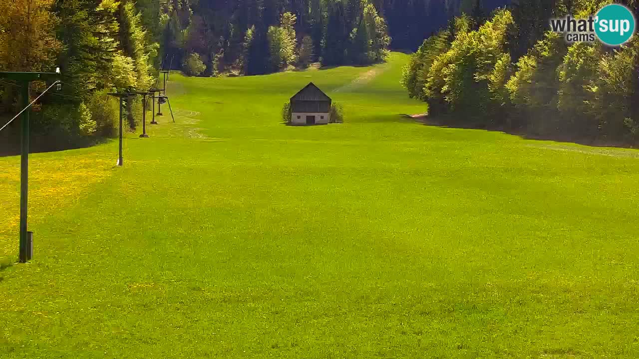 Kranjska Gora | Velika Dolina