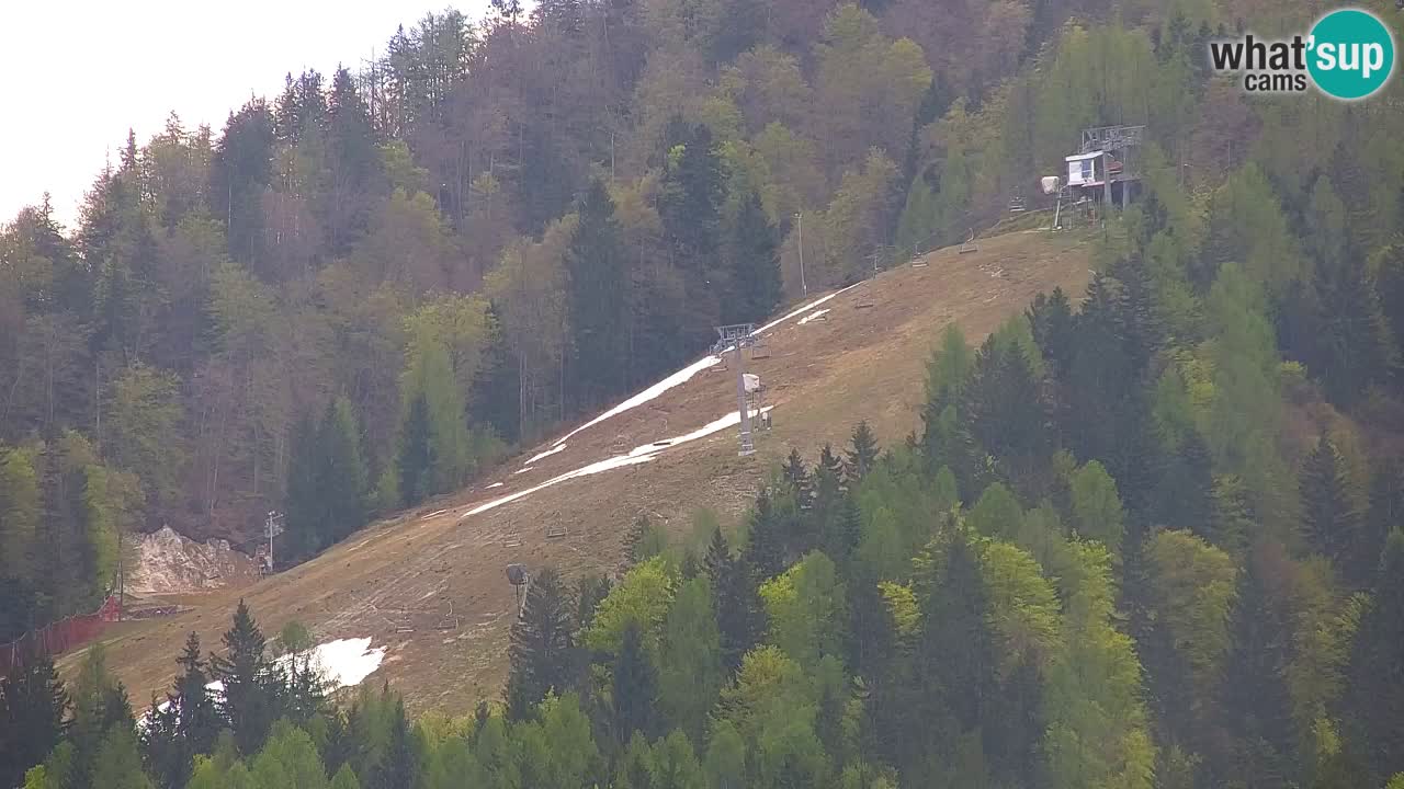 Skijanje Kranjska Gora | Velika Dolina