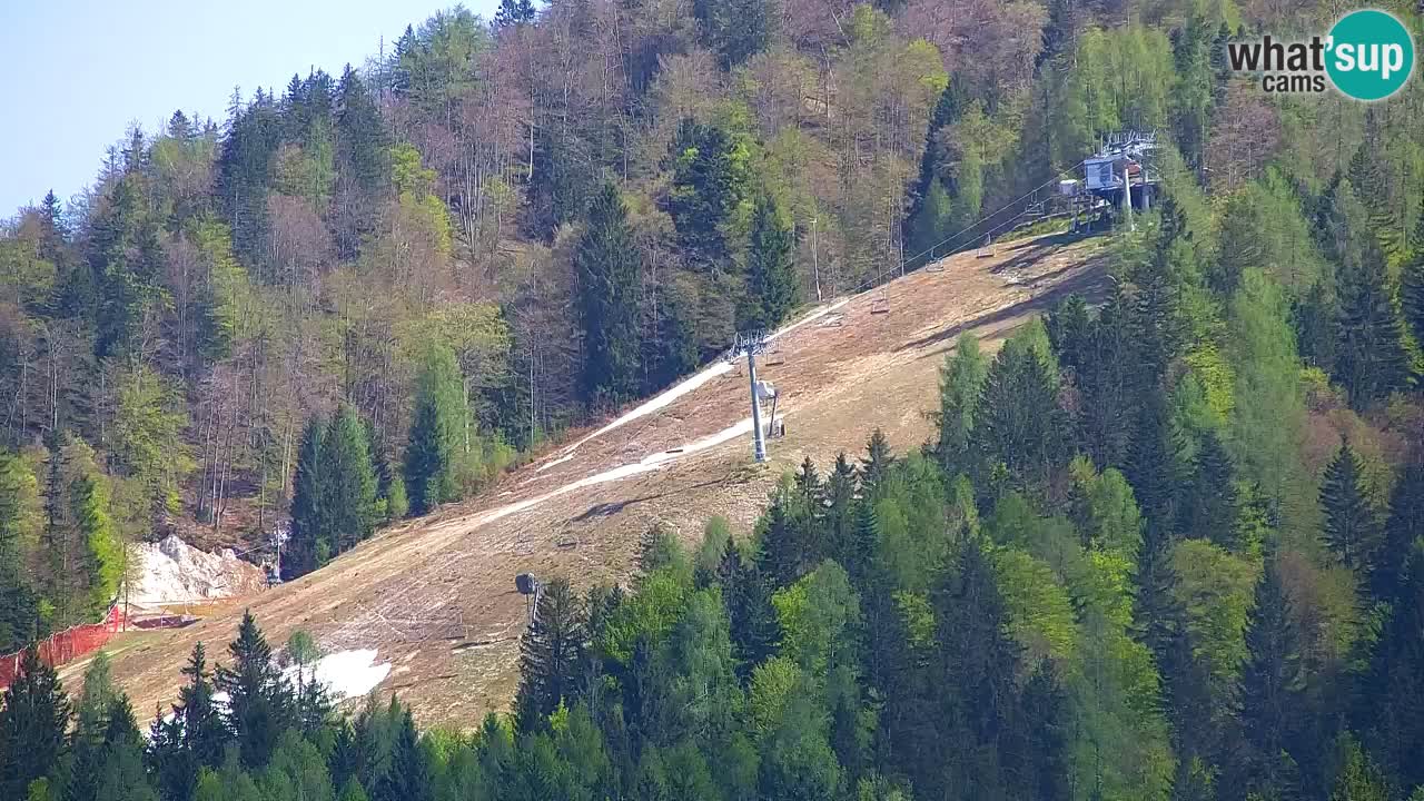 Skigebiet Kranjska Gora | Velika Dolina