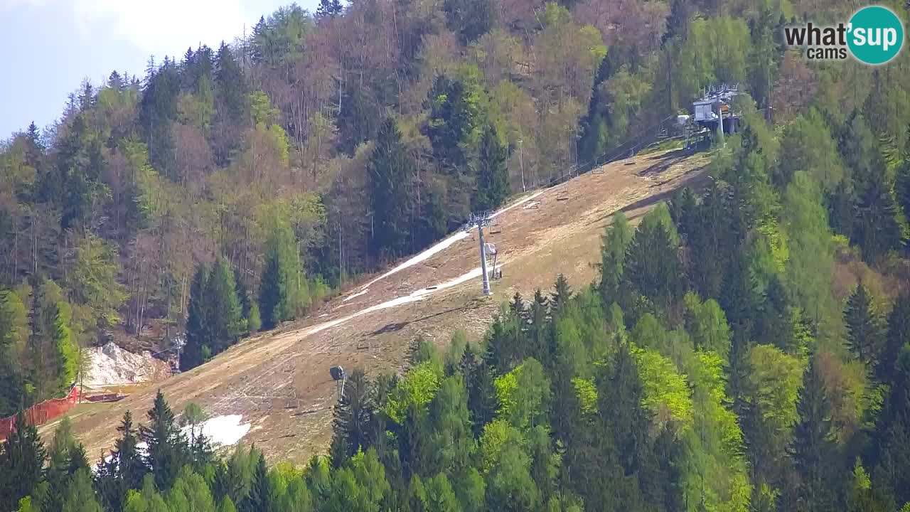 Estación de esquí Kranjska Gora | Velika Dolina