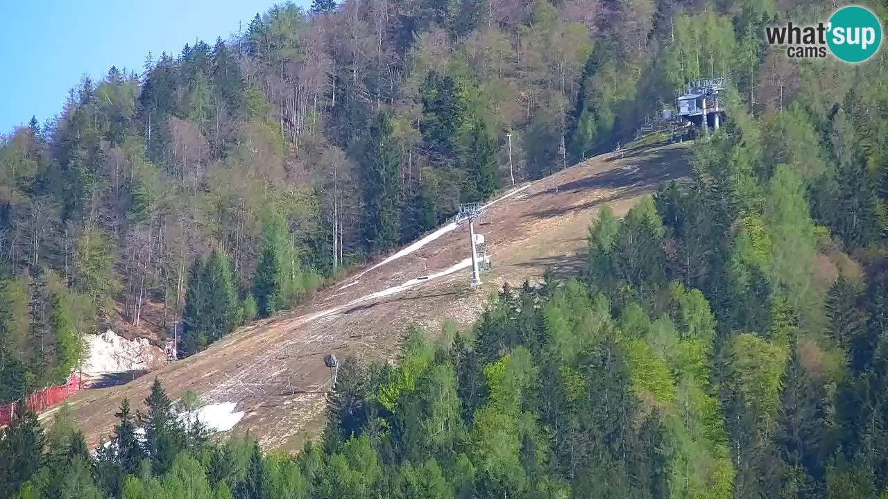Ski Kranjska Gora | Velika Dolina