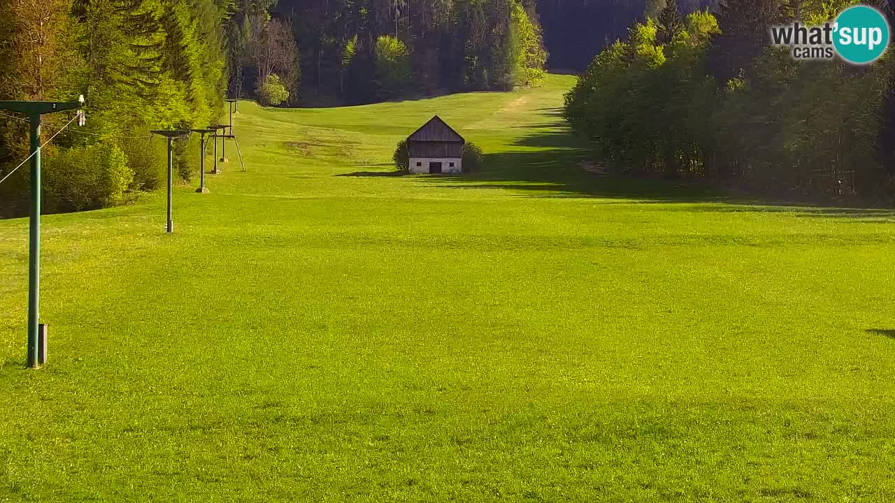 Skijanje Kranjska Gora | Velika Dolina