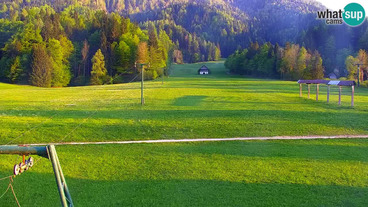 Ski Kranjska Gora | Velika Dolina