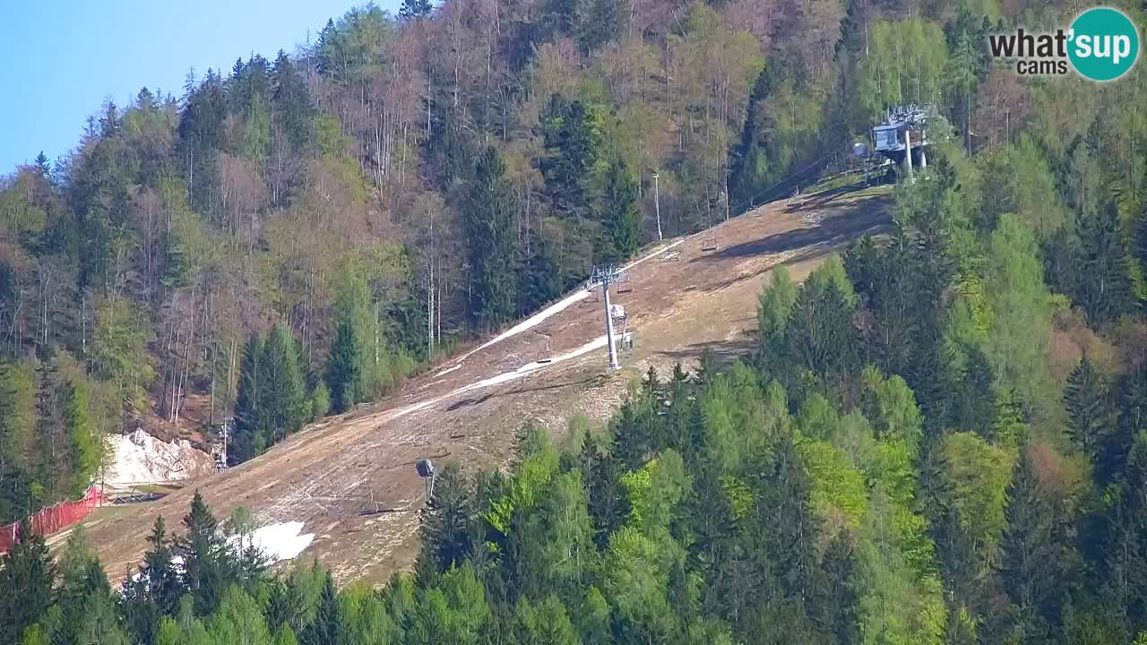 Skigebiet Kranjska Gora | Velika Dolina