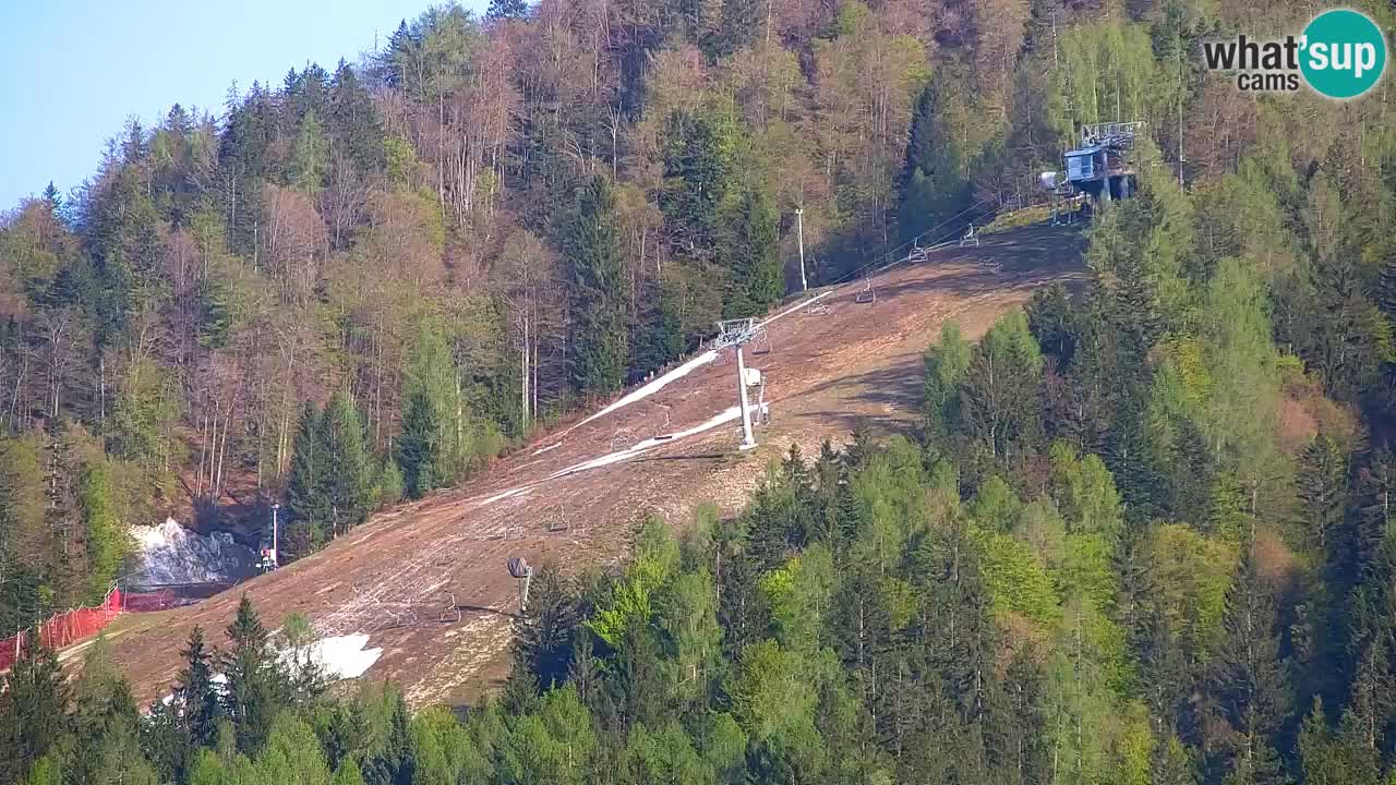 Ski Kranjska Gora | Velika Dolina