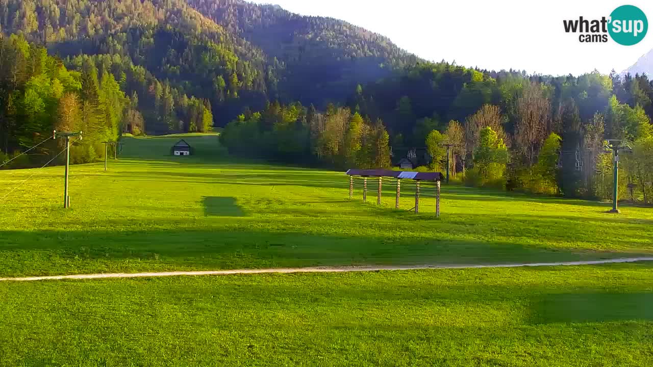 Ski Kranjska Gora | Velika Dolina