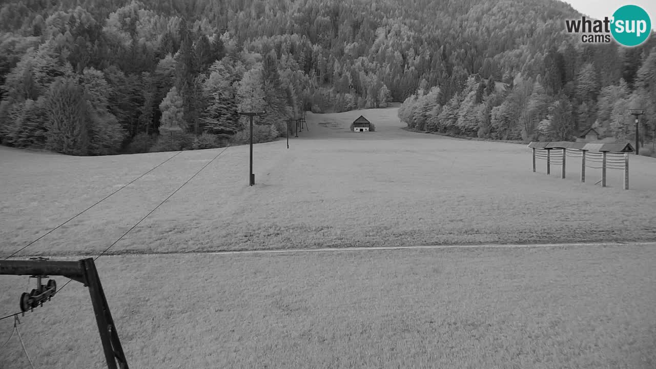 Ski Kranjska Gora | Velika Dolina
