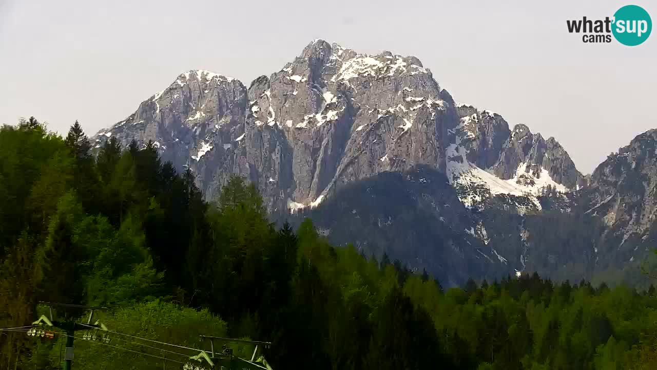 Ski Kranjska Gora | Velika Dolina