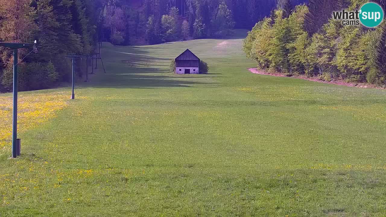 Ski Kranjska Gora | Velika Dolina
