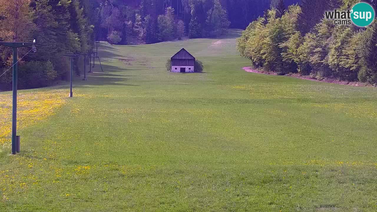 Ski Kranjska Gora | Velika Dolina