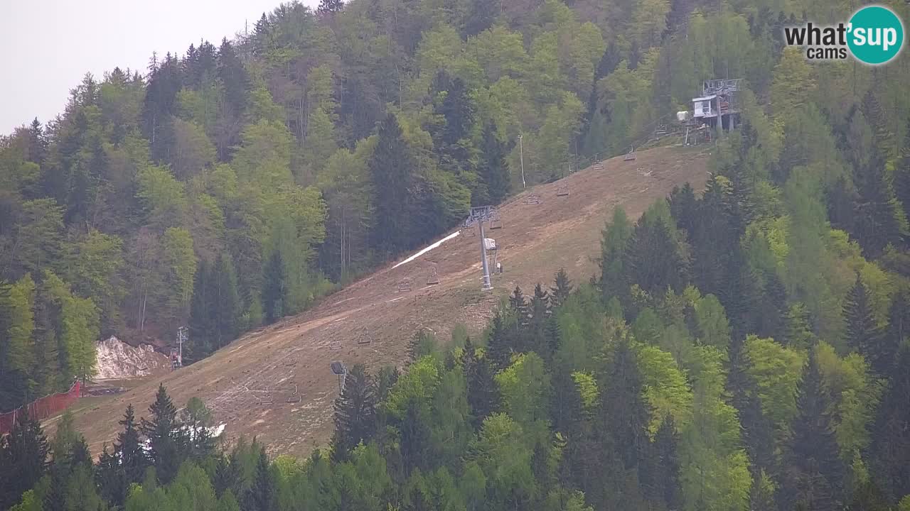Skigebiet Kranjska Gora | Velika Dolina